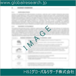 グローバルリサーチ調査資料のイメージ